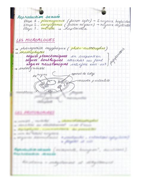 Solution Microbiologie Studypool