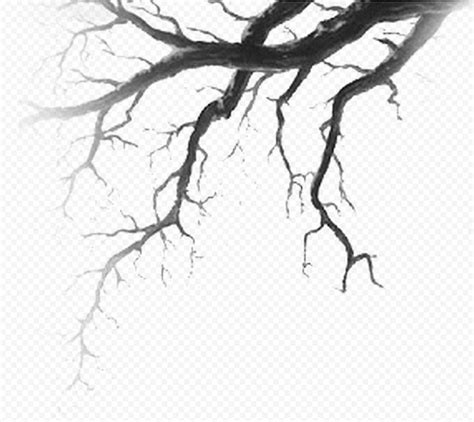 Real Halloween Horror Scary Tree Branch Hd Png Citypng