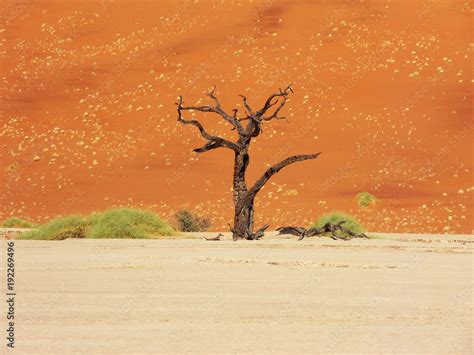 The Ennedi Plateau, located in the northeast of Chad, in the regions of ...