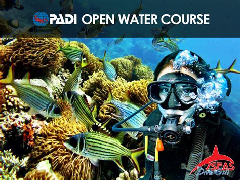 PADI OPEN WATER COURSE - 7SEAS Reservations