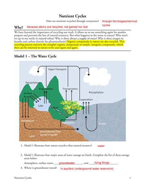 Nutrient Cycles Worksheet Answers Wordworksheet