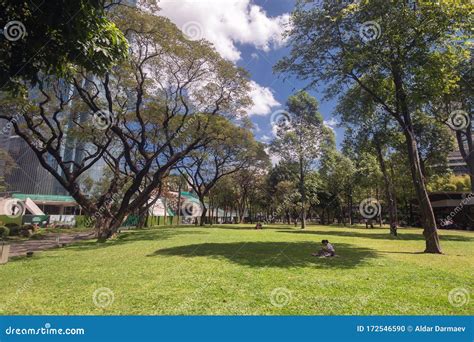 Ayala Triangle Gardens and Park in Makati, on a Sunny Day Editorial ...