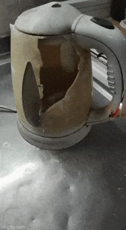 times daily gifs   laugh  loud  cured boredom