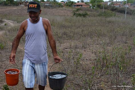 Feira De Santana Governo Colbert Martins Decreta Situa O De