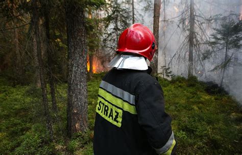 IMGW w lasach na zachodzie bardzo wysokie zagrożenie pożarowe