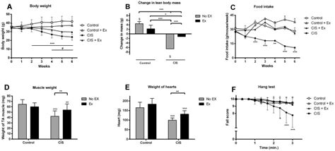 Mice N 16 18 Were Treated With 4 Mg Kg Cisplatin Cis Or Saline