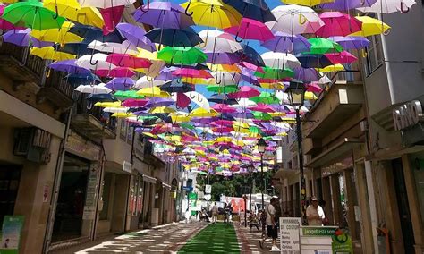 Imagem Do Dia Rua Coberta De Guarda Chuvas Jornal O Globo