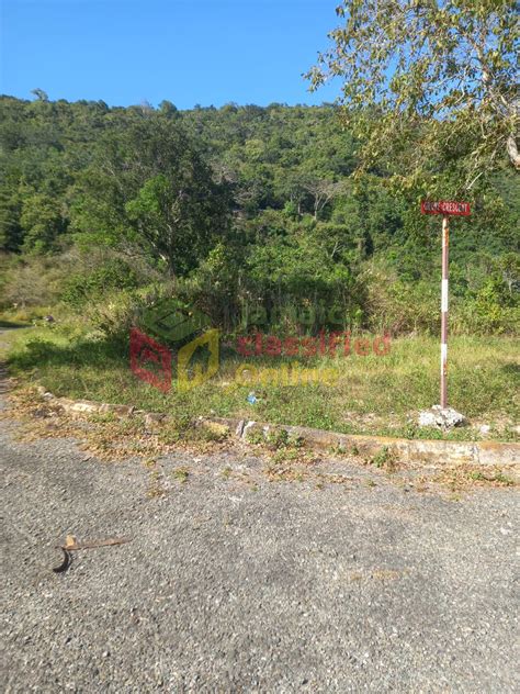 For Sale: 1/3 Of An Acre 14, 450.00 Square Feet - Woodland Heights Red