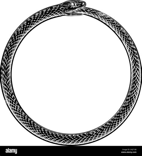 Ouroboros Uroboros Serpent Snake Vintage Woodcut Stock Vector Image