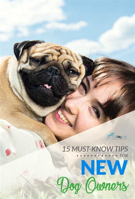 15 Must-Know Tips For New Dog Owners - Make Sure You Start Right!