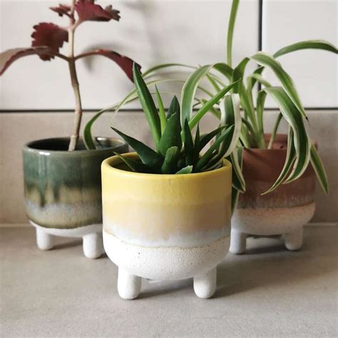 Indoor Plant Pots And Planters Albert And Moo