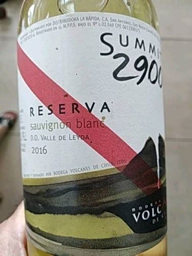 Bodega Volcanes Summit 2900 Reserva Sauvignon Blanc Vivino US