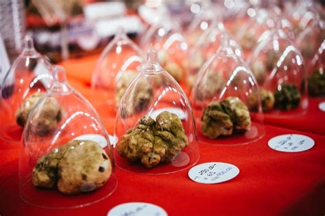 Fiera Internazionale Del Tartufo Bianco DAlba Ecco Cosa Vedere