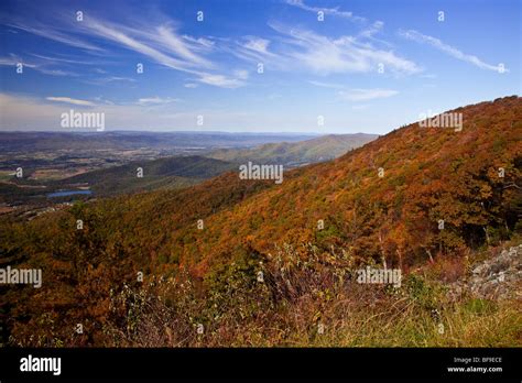 Fall foliage colors in Virginia Stock Photo - Alamy