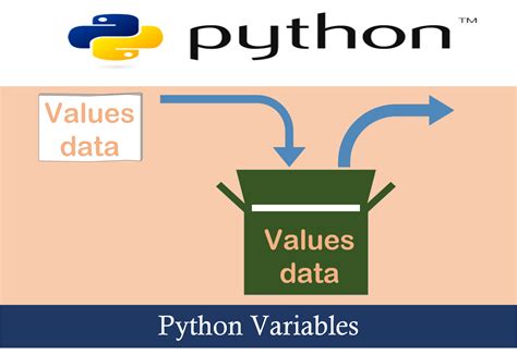 Variables In Python