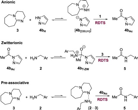 Kinetics And Mechanism Of Azole N Catalyzed Amine Acylation