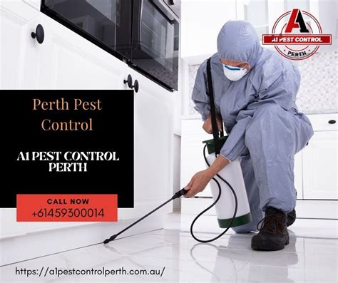 Protect Your Property From Termites With One Of The Best Termite Treatment In Perth A1 Pest