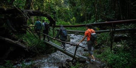 Hiking Waterfalls In Panama Boquete Trails Sightseeing