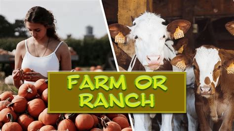 What Is The Difference Between A Ranch And A Farm Youtube