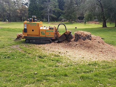 Stump And Grind Stump Grinding Business In Auckland