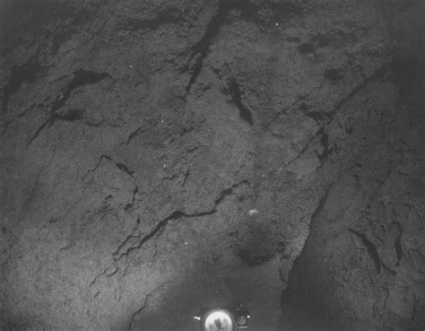 Photographs of the benthic habitat at location VM33-005 showing ...