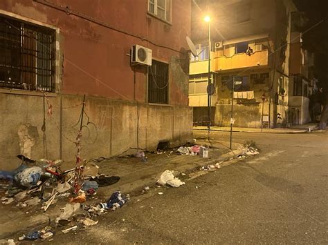 Reggio Degrado In Centro Colonia Di Topi Che Si Nutre Dei Rifiuti