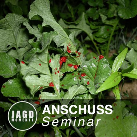 Anschuss Seminar September Jagdmomente Shop