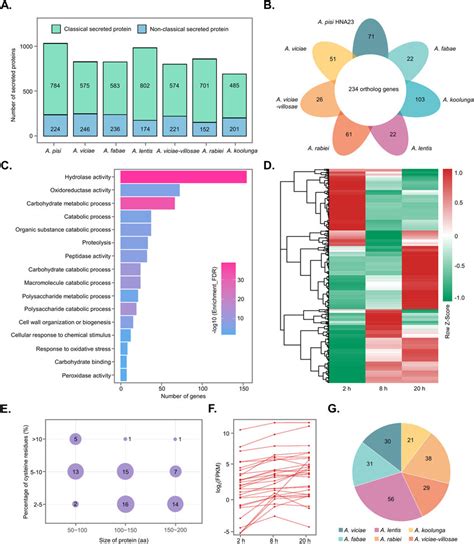 Prediction And Analysis Of The A Pisi Secretome A Total Number Of