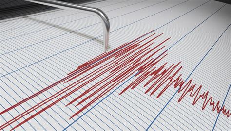 Earthquake Rattles North Canterbury Newshub