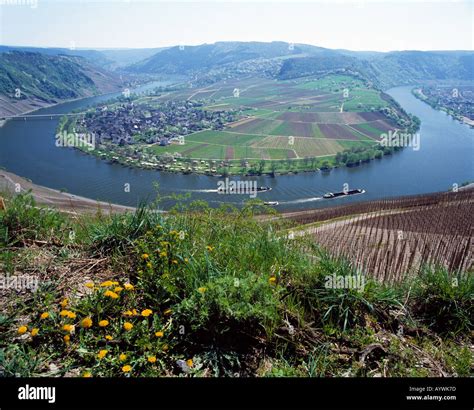 Moselschleife Kroev Hi Res Stock Photography And Images Alamy