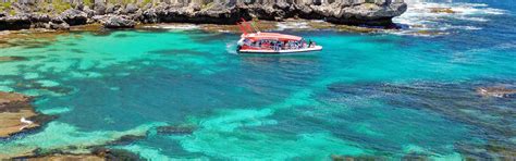 Rottnest Island Tours & Day Trips 2024 - Book Now | Experience Oz