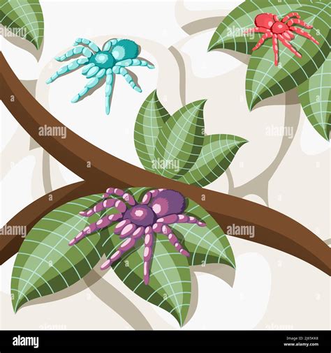 Palm Spiders Stock Vector Images Alamy