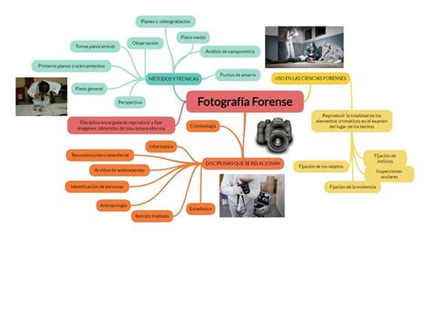 Fotografía Forense Forensic notes uDocz