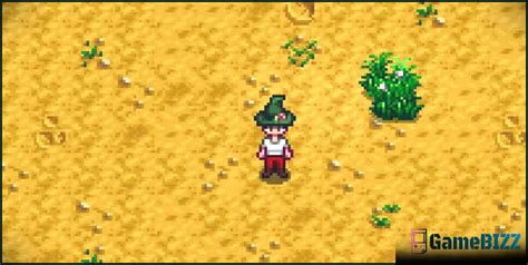 Stardew Valley 10 besten Mods für Kleidung gamebizz de 2025