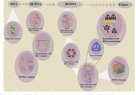 Figure 1 From Dna Tetrahedral Nanostructures For The Biomedical Application And Spatial