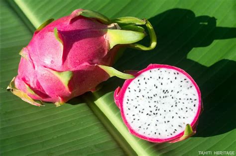 Pitaya Le Fruit Du Dragon Tahiti Heritage