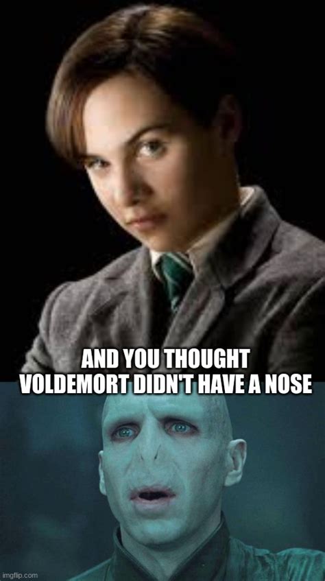 voldemort Memes & GIFs - Imgflip