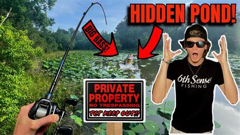 Fishing For Big Bass In Hidden Private Pond Youtube