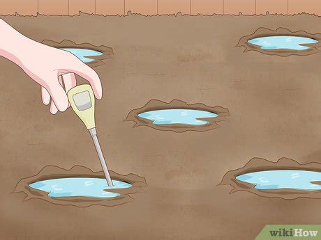 3 Cara Untuk Menguji PH Tanah WikiHow