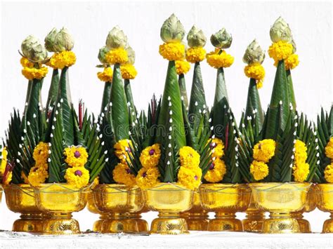 Buddhist offerings stock image. Image of bloom, object - 26009415