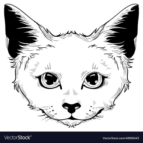 Cat head print drawing monochrome on white Vector Image