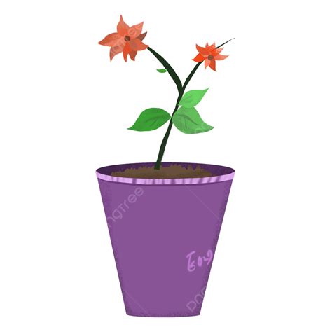 Flowers Clipart Transparent PNG Hd Flowers Plant Background