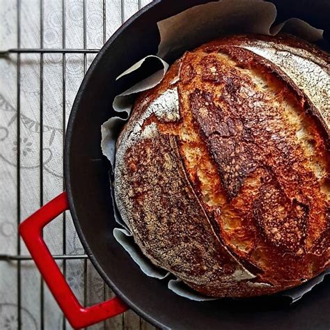 Making Sourdough Bread After Long Time In Cast Iron Pan Sourdough