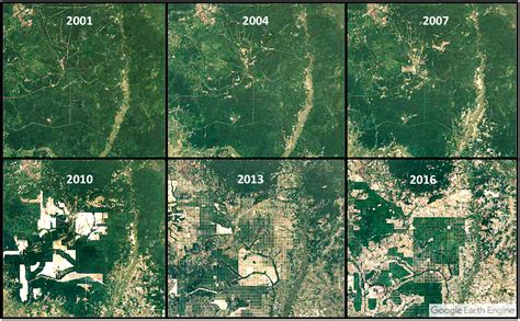 Amazon Rainforest Deforestation Satellite