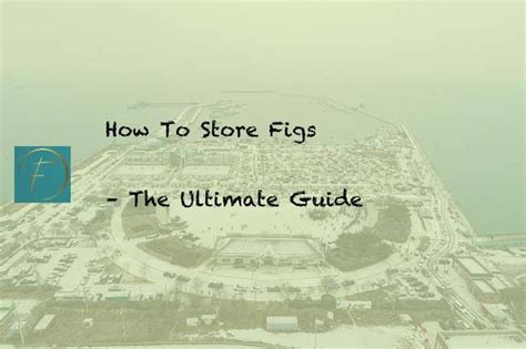 How To Store Figs The Ultimate Guide Fork Spoon Kitchen