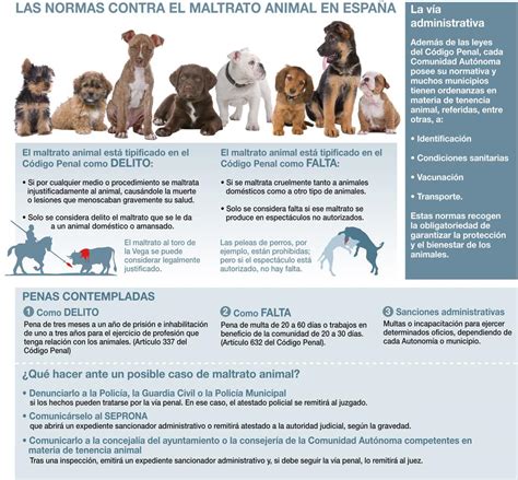 España Líder Europeo En Maltrato Animal