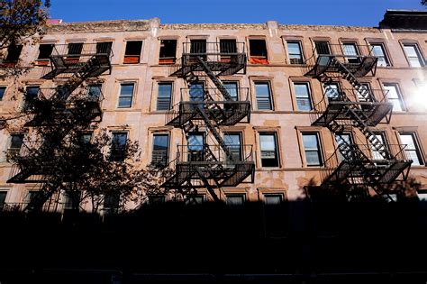 How A Block Of Abandoned Harlem Tenements Were Transformed Into