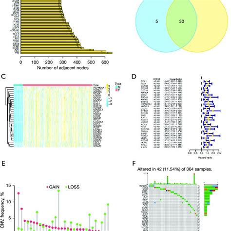 Prediction Model Based On Cell Cycle Linked Genes A The Top Genes