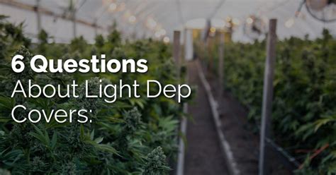 Top 6 Questions About Light Dep Covers | Americover