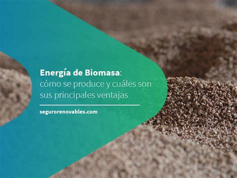 Energ A De Biomasa C Mo Se Produce Y Qu Ventajas Tiene